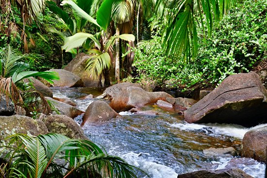 Sauzier Waterfall