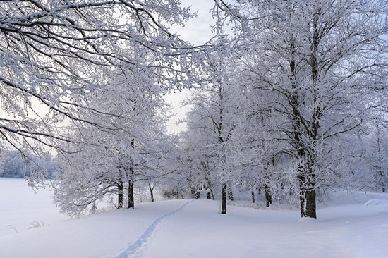 Jyväskylä