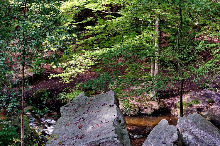 Parc naturel régional de la Haute Vallée de Chevreuse 3