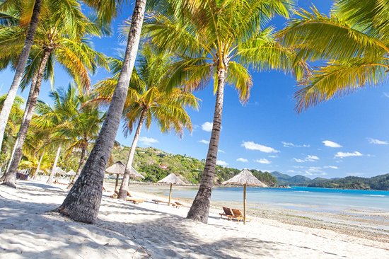 Îles Whitsunday