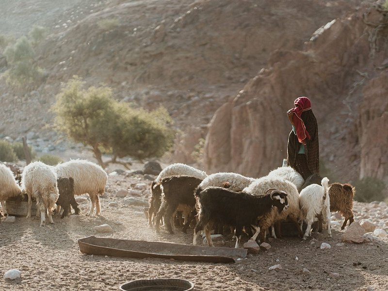 La réserve de Dana