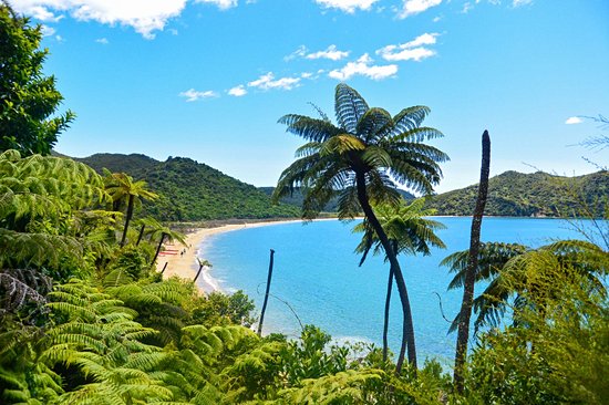 Parc national Abel Tasman