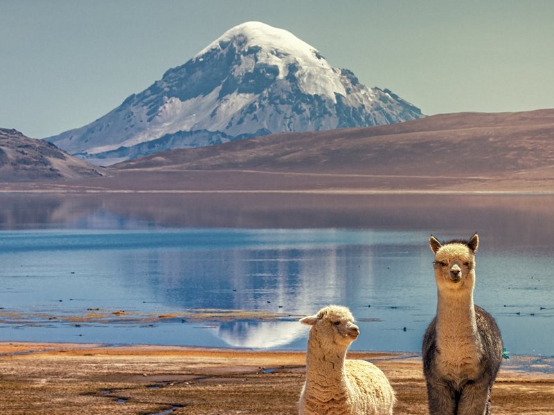 Parc national Lauca