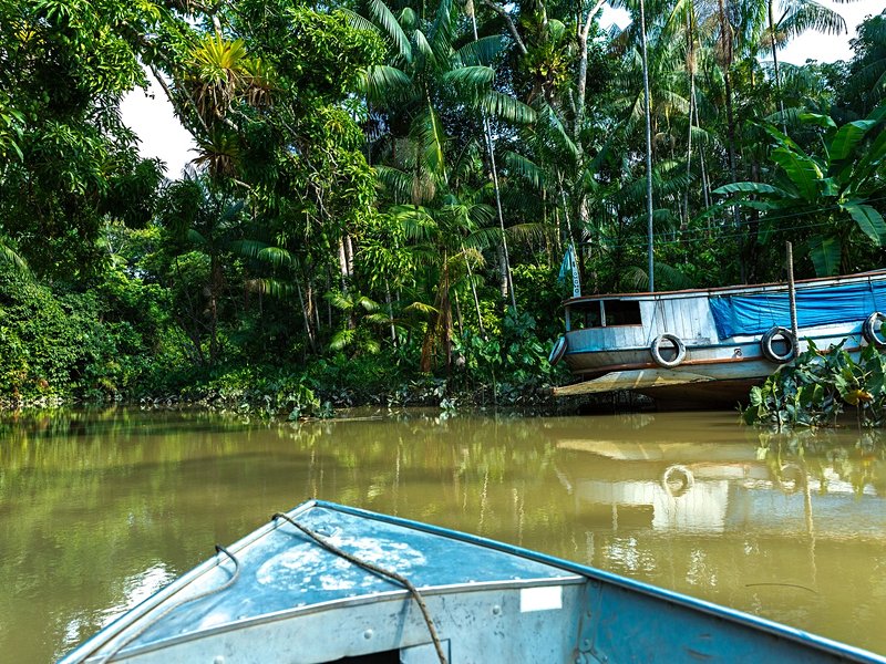 Belém et Manaus, Forêt Amazonienne