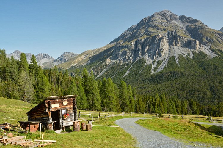 Le parc national Suisse