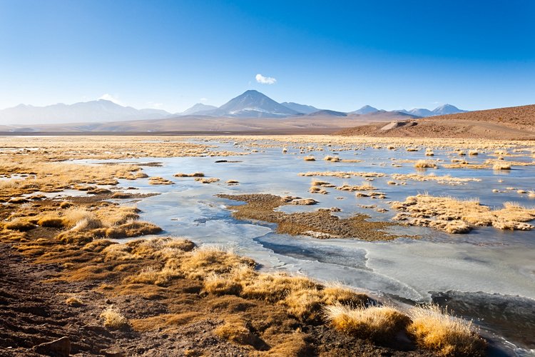 L’Altiplano chilien 4