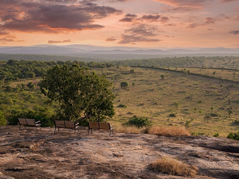 Parc national du lac Mburo