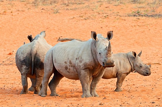 Parc national de Waterberg