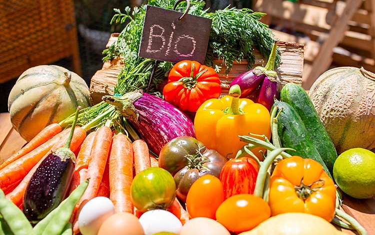 Consommer Bio, de saison & local