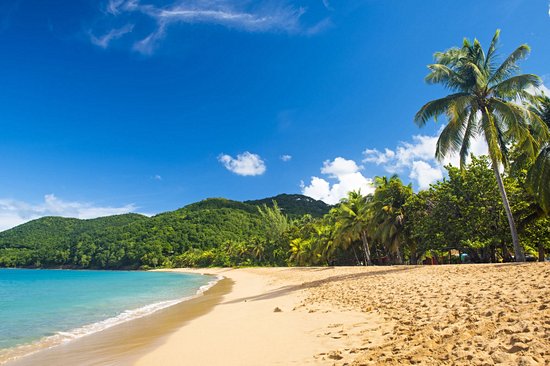La plage de Grande Anse à Deshaies