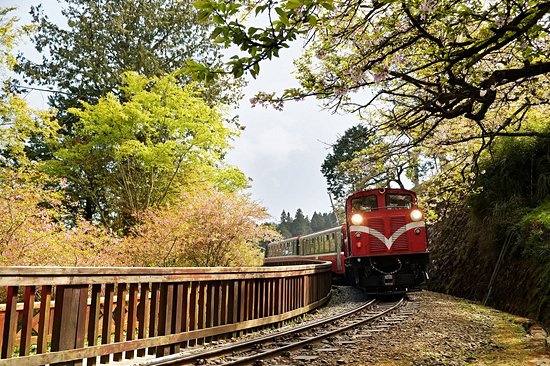 Alishan National Scenic Area