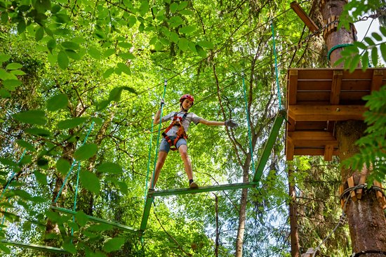 Treetop Adventure Park