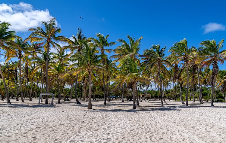 Parc national Morrocoy 3