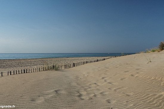 La plage du Robinson à Marseillan
