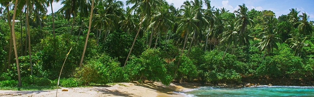 Mirissa