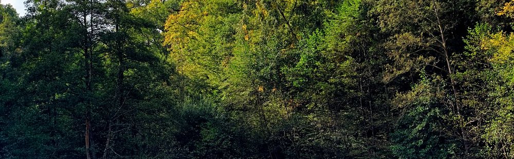 Parc naturel régional de la Haute Vallée de Chevreuse