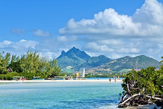 L'île aux cerfs