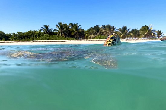 Îles de la Petite-Terre