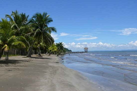 La playa Quehueche à Livingston