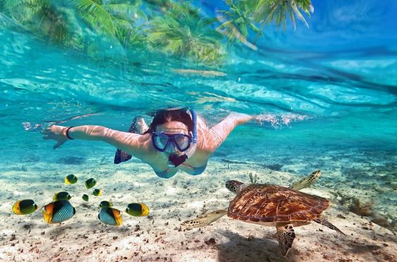 Faire du snorkeling