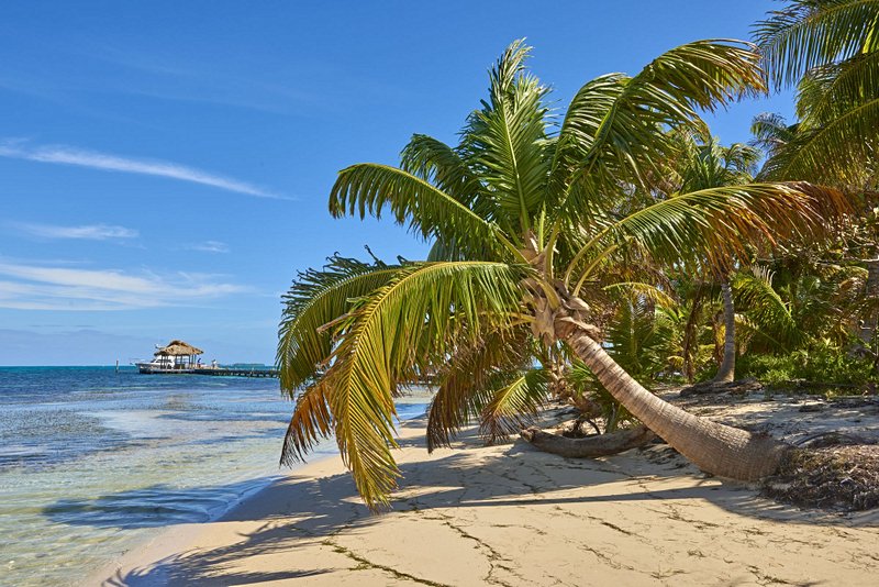 plage Les plages d’Ambergris Caye