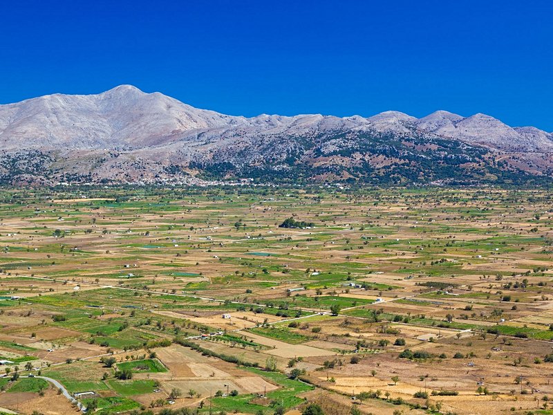 Plateau du Lassithi