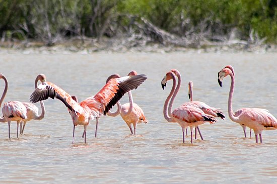Parc national d'Inagua