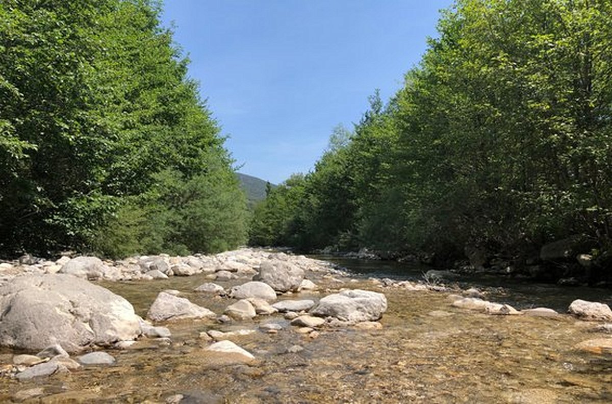 Patauger dans les Gorges du Toulourenc