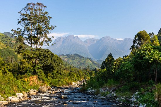 Parc national Rwenzori Mountains