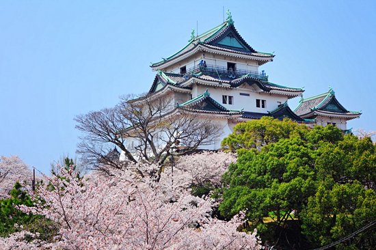 La ville de Wakayama