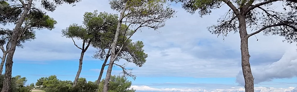 L'accessible : La petite Suisse