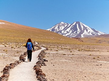 L’Altiplano chilien