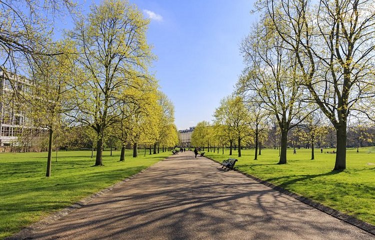 Les pelouses de Hyde Park