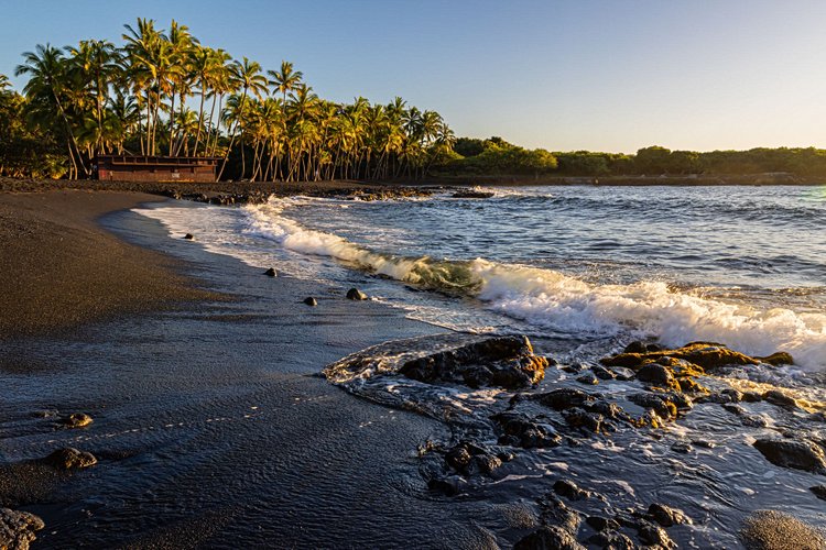 Plage de Punalu'u, Big Island, Hawaï 4
