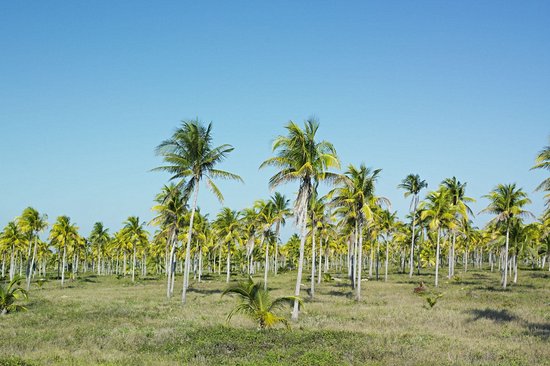 Parc national Desembarco del Granma