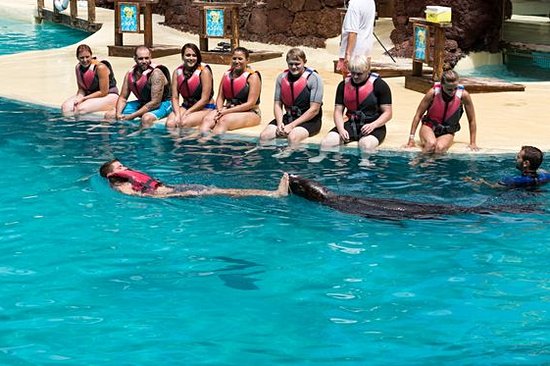 Se détendre dans un parc aquatique