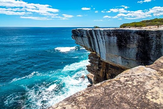 Observer des baleines au Royal National Park (Sydney)