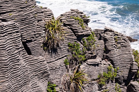 Parc national de Paparoa