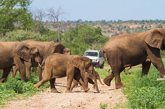 Parc national de Mapungubwe