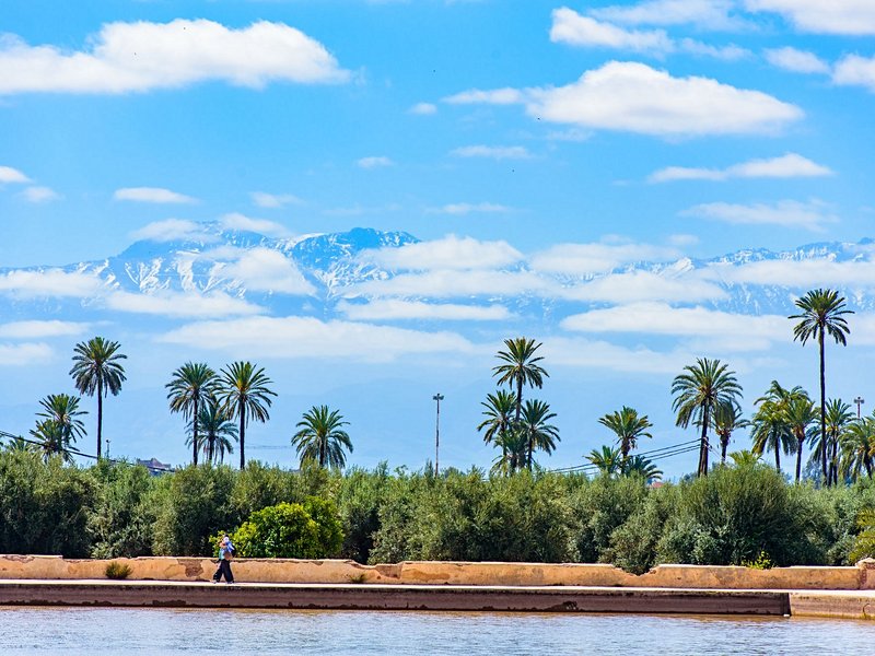 Les jardins de la Ménara