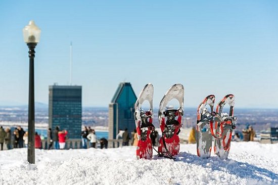 Découvrir de nouveaux panoramas en raquettes