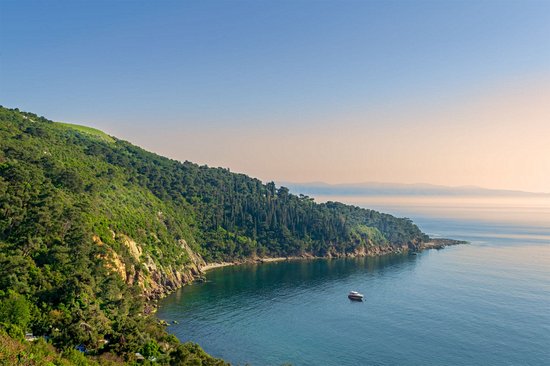 L'île de Büyükada