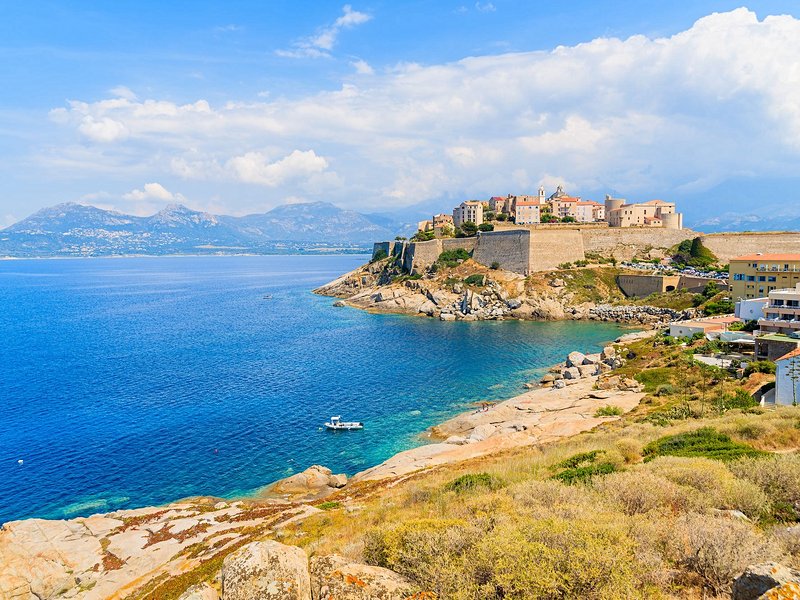 Calvi