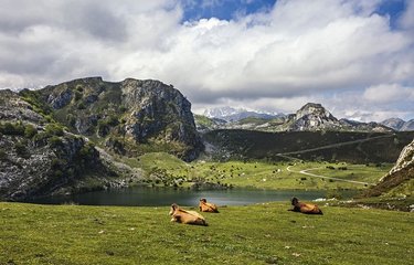 Les lacs de Covadonga