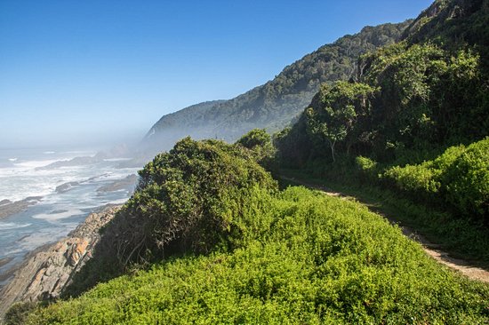 Tsitsikamma National Park