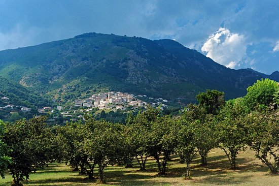 Cervione