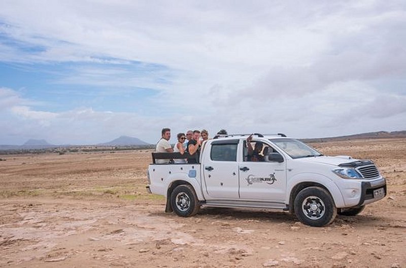 Partir faire une virée en pick-up 