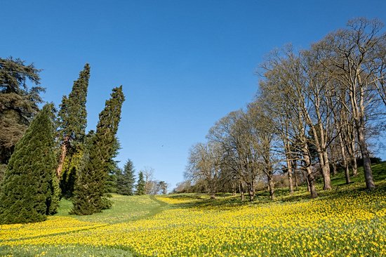 Manoir de Waddesdon