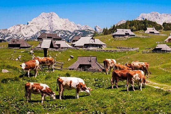 Séjourner dans une ferme traditionnelle slovène