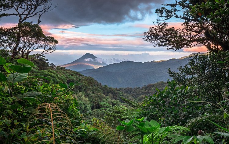 Le Monteverde 4